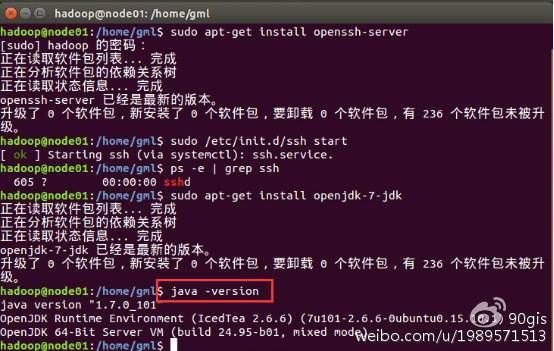 java_version