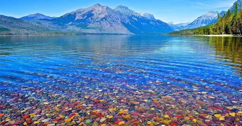 Live2d喵星人模型s