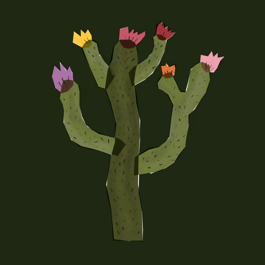 视频工具Ffmpeg的基础学习